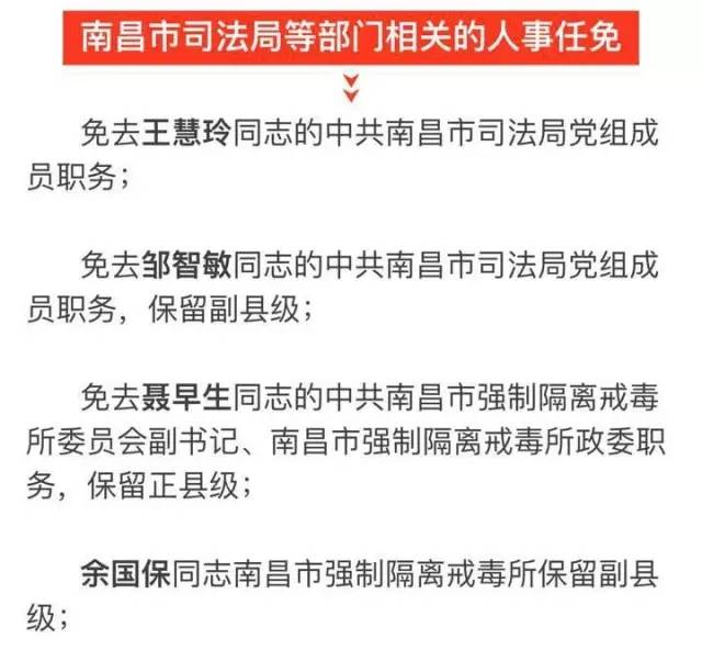 沈丘县科技局人事任命新阵容，推动科技创新跃升新高度