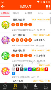 澳门王中王100%期期中,精准分析实施_3DM58.728