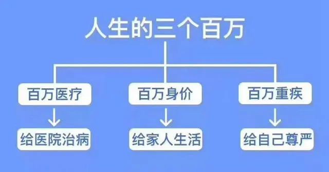 管家婆必中一肖一鸣,高效分析说明_X版99.487