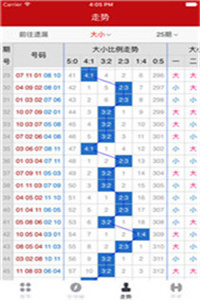 新澳门彩开奖结果2024开奖记录,稳定执行计划_W79.853