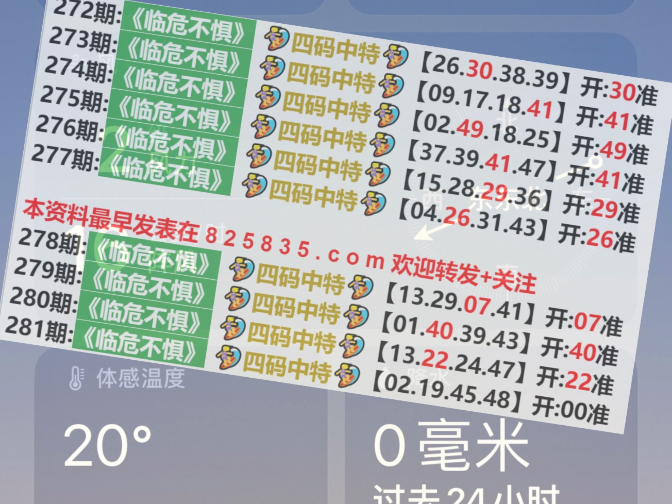 2024澳门特马今晚开奖图纸,深入数据执行解析_WP144.766