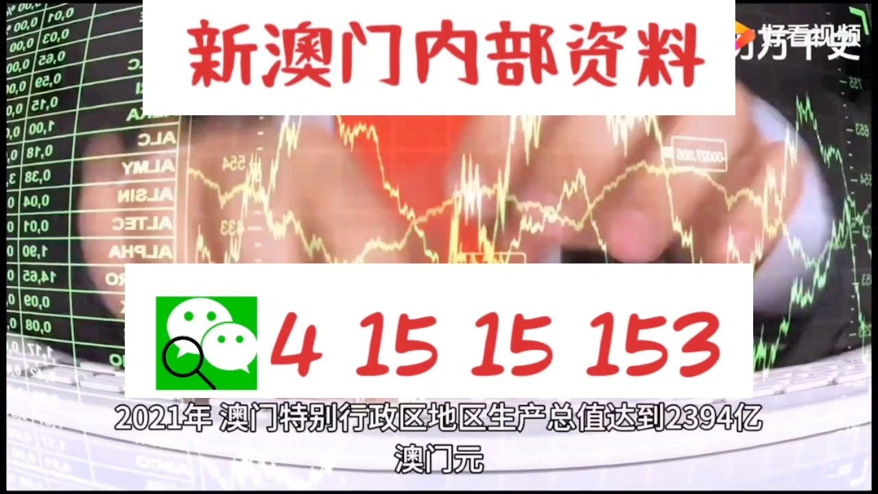 新澳门精准二码中特,定性说明评估_粉丝款91.33