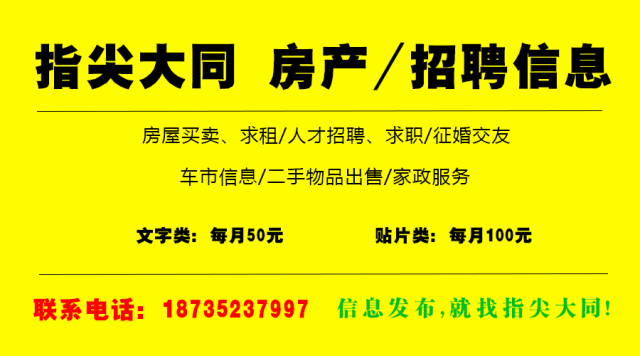 程委镇最新招聘信息全面解析