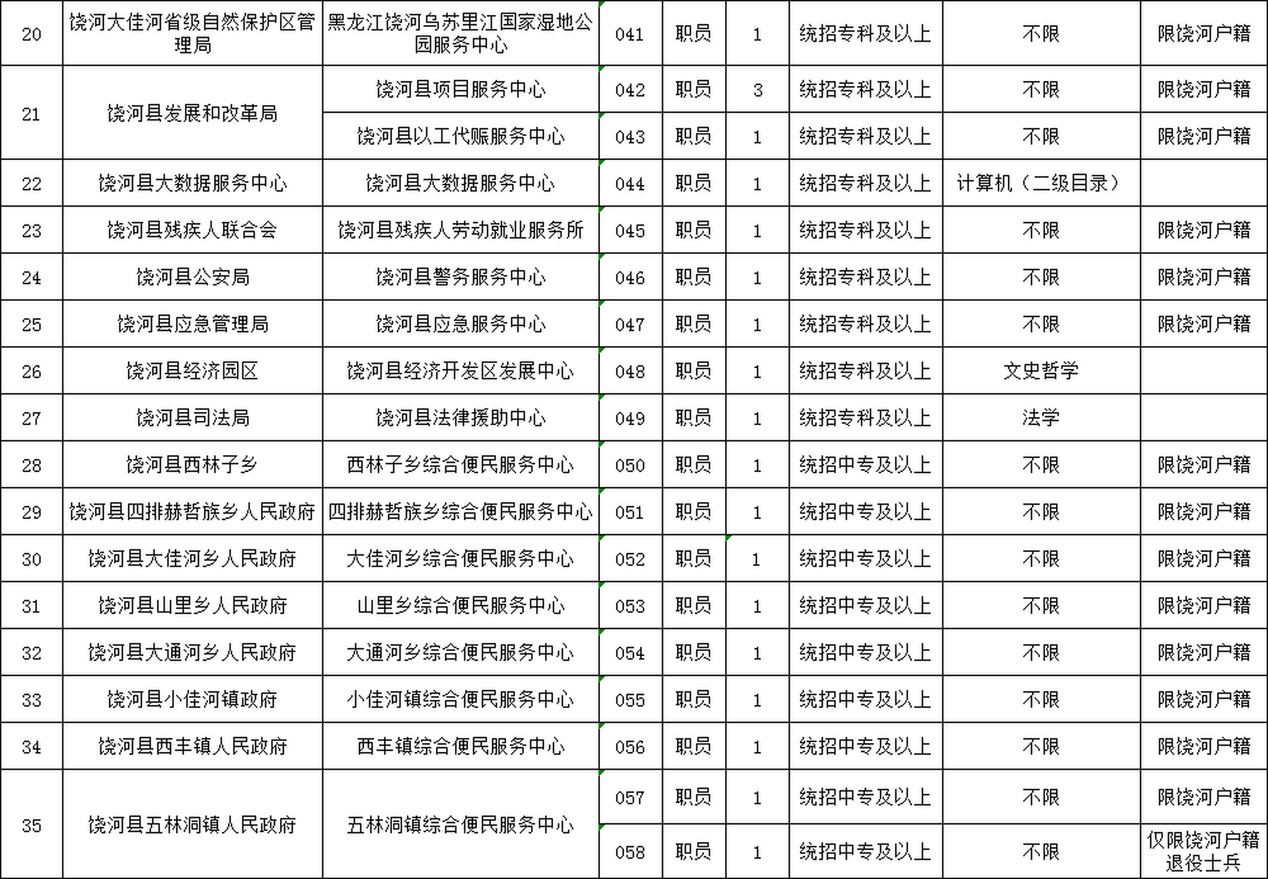 饶河县数据和政务服务局招聘公告详解