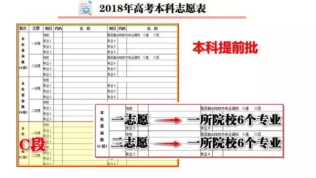 新澳门一码一肖一特一中水果爷爷,专家说明解析_黄金版19.457