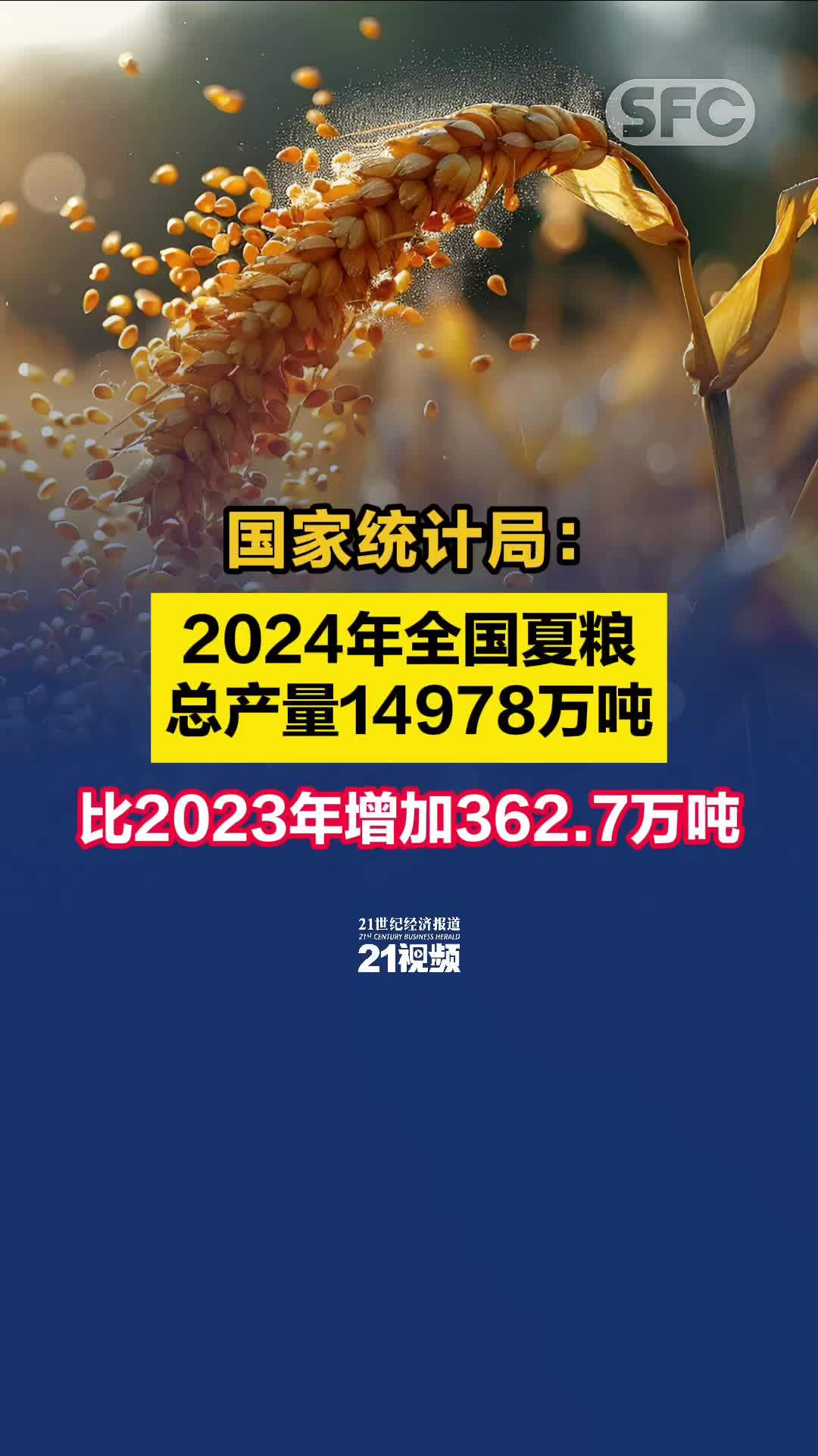 2024年香港资料免费大全,诠释解析落实_入门版2.362