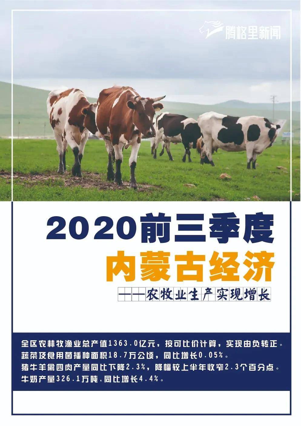 2024今晚开的四不像生肖图,全面理解执行计划_Gold20.424