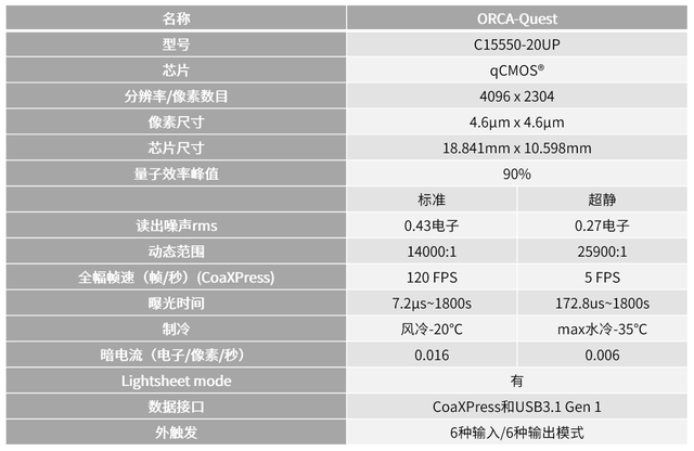 52开奖一香港码,权威解析说明_RemixOS40.756