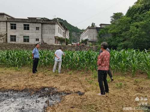 菜籽地村见证最新发展与变化新闻