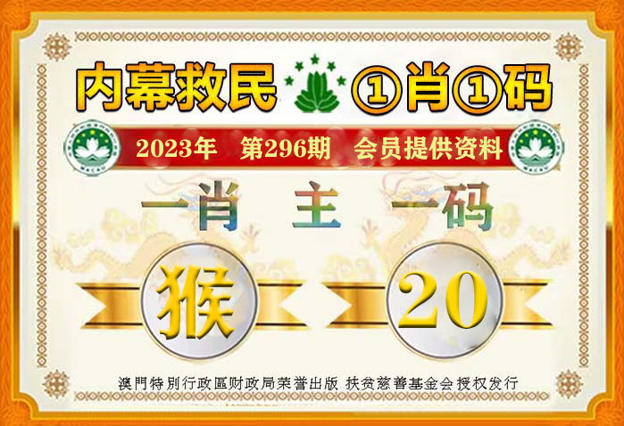 一肖一码精准100一肖中特,灵活性执行计划_黄金版4.246