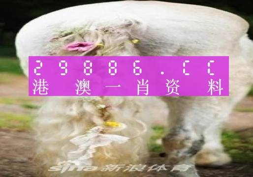 澳门一肖一码100准免费资料,全部解答解释落实_NE版35.425