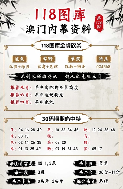 澳门广东八二站,精细策略定义探讨_set61.466