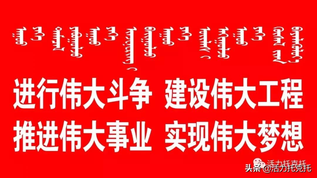 托克托县农业农村局推动农业现代化，助力乡村振兴新动态