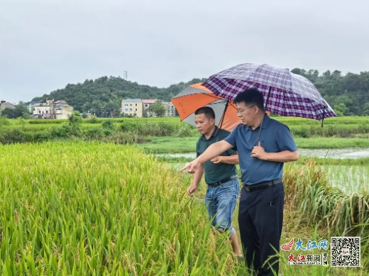 万年县农业农村局最新新闻动态