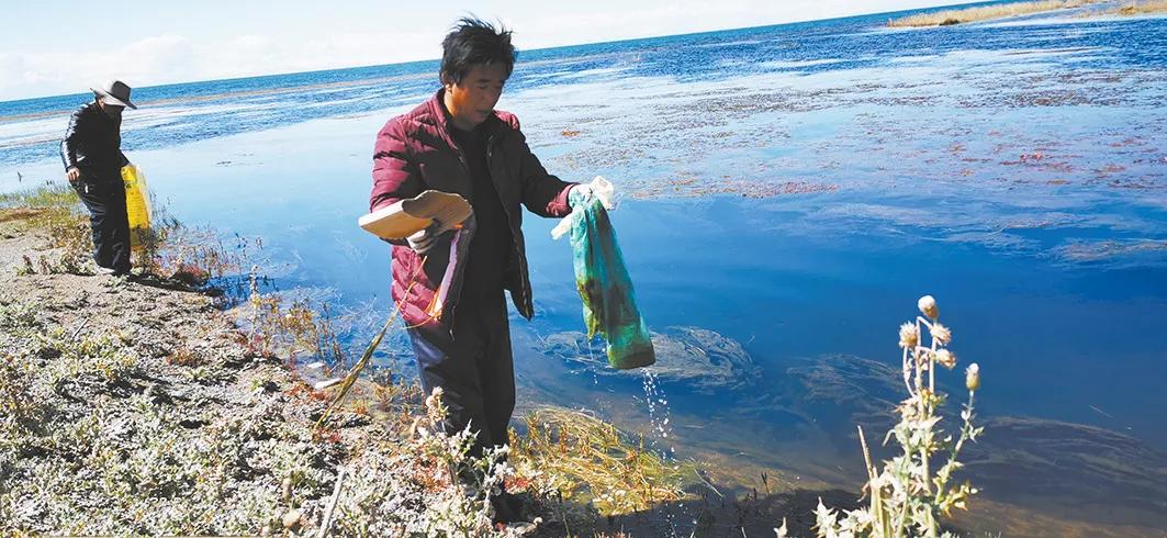 海晏县农业农村局最新新闻，推动农业现代化，助力乡村振兴