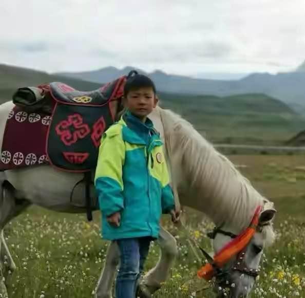 李上山村委会重塑乡村未来典范项目启动