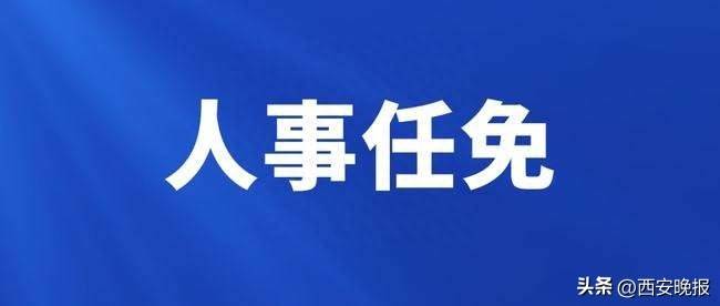 控角最新人事任命公告