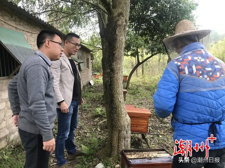 饶平县特殊教育事业单位最新项目概览