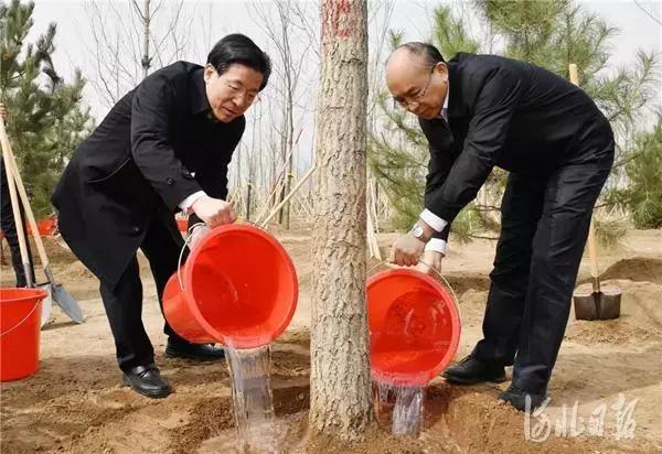 大田庄乡新项目启动，乡村振兴新引擎