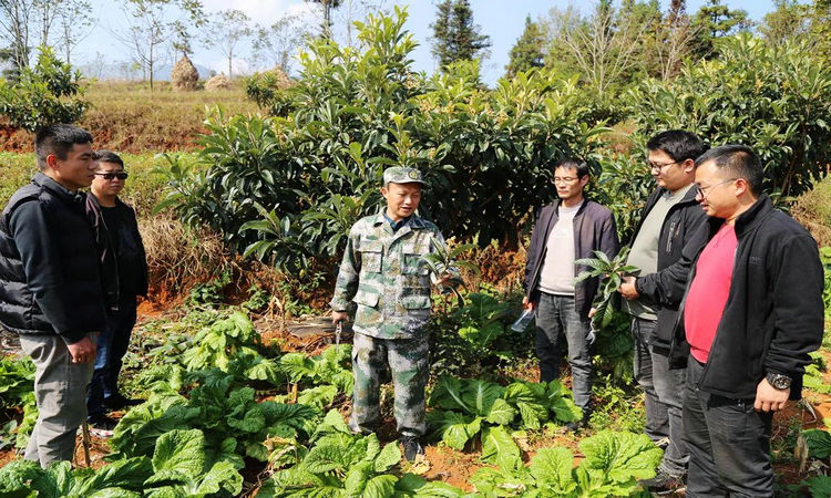 埔寨农场最新新闻