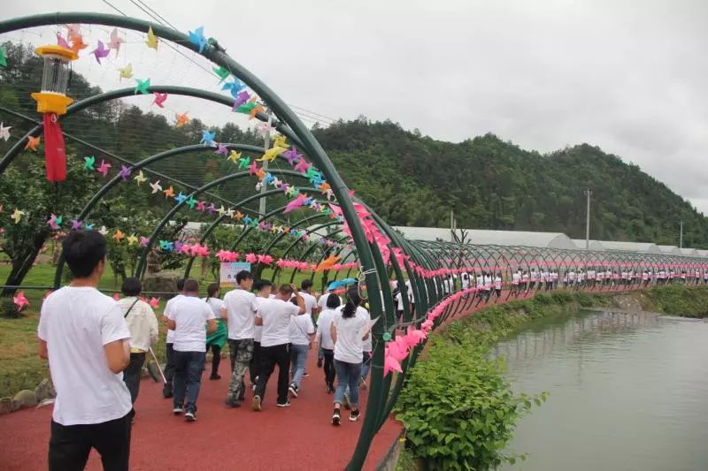 百江镇引领发展新项目，地区璀璨明珠诞生记