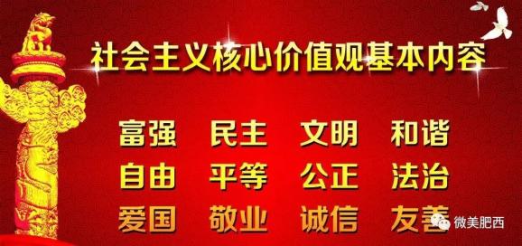 蔡桥社区最新招聘信息全面解析