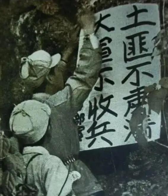 瑶山乡现代化交通网络构建最新动态