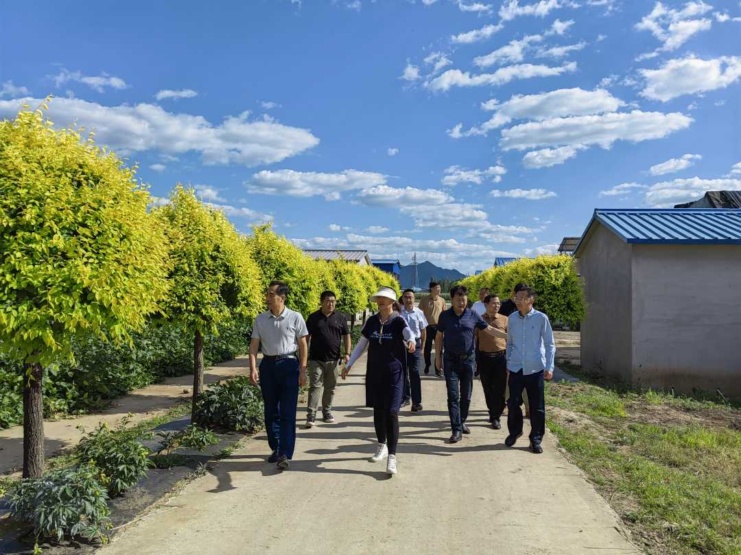 三道沟满族乡最新项目，引领地方繁荣与民族振兴的强力引擎