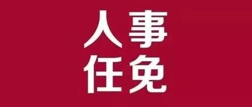 振安区审计局人事任命重塑未来审计格局