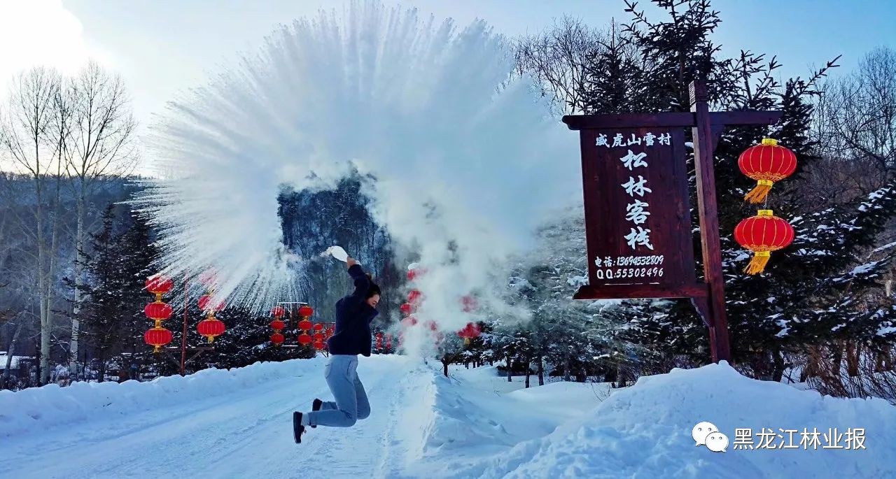 雪村新项目重塑乡村魅力，引领文旅新潮流