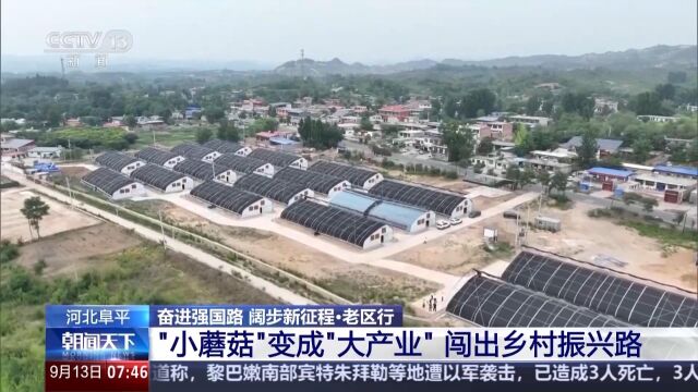 山西省临汾市洪洞县龙马乡最新新闻速递