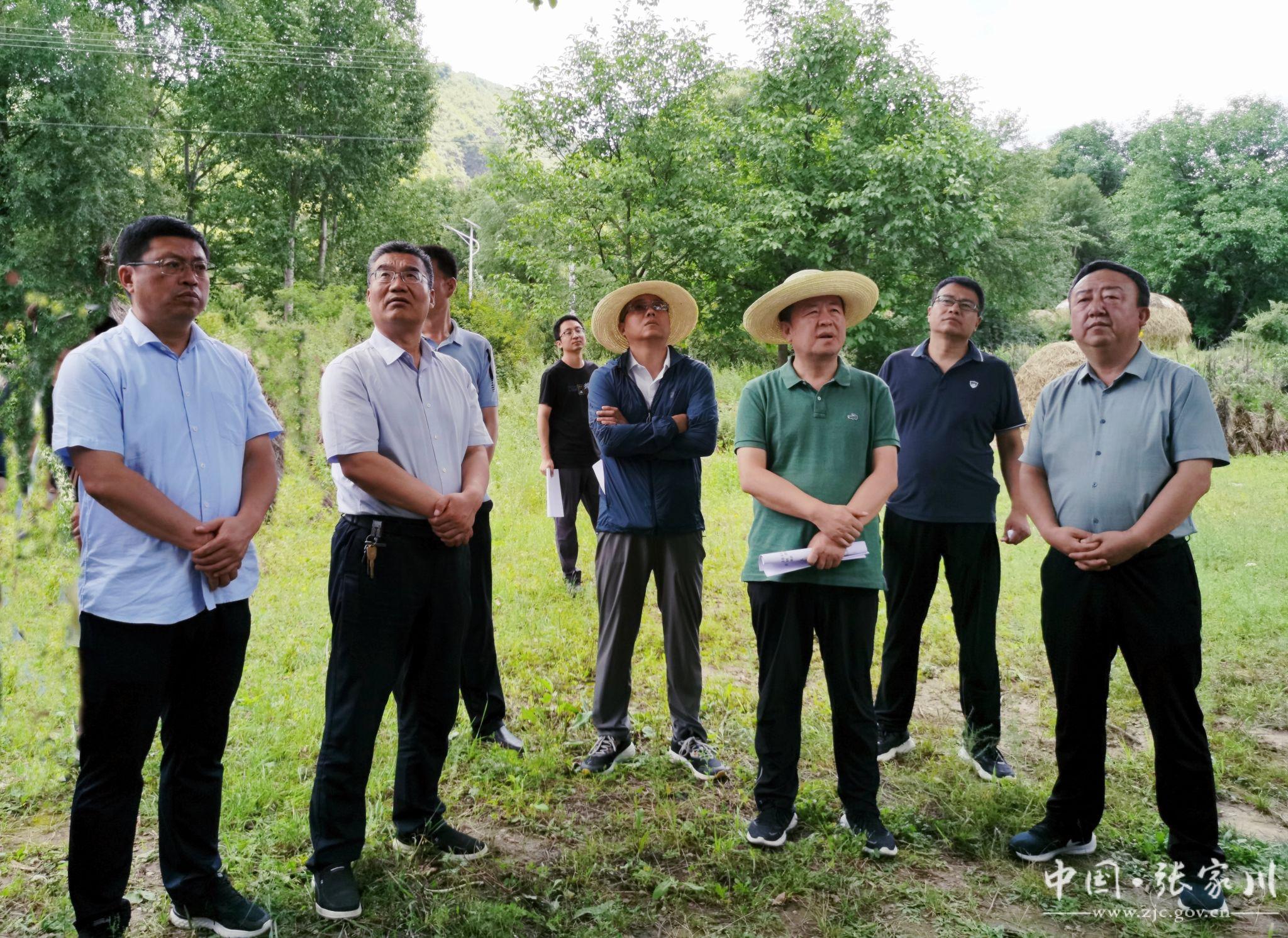 闫家村民委员会交通新闻更新