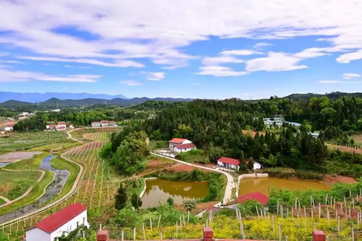 二重岩村重塑乡村魅力，引领地方发展新项目启动